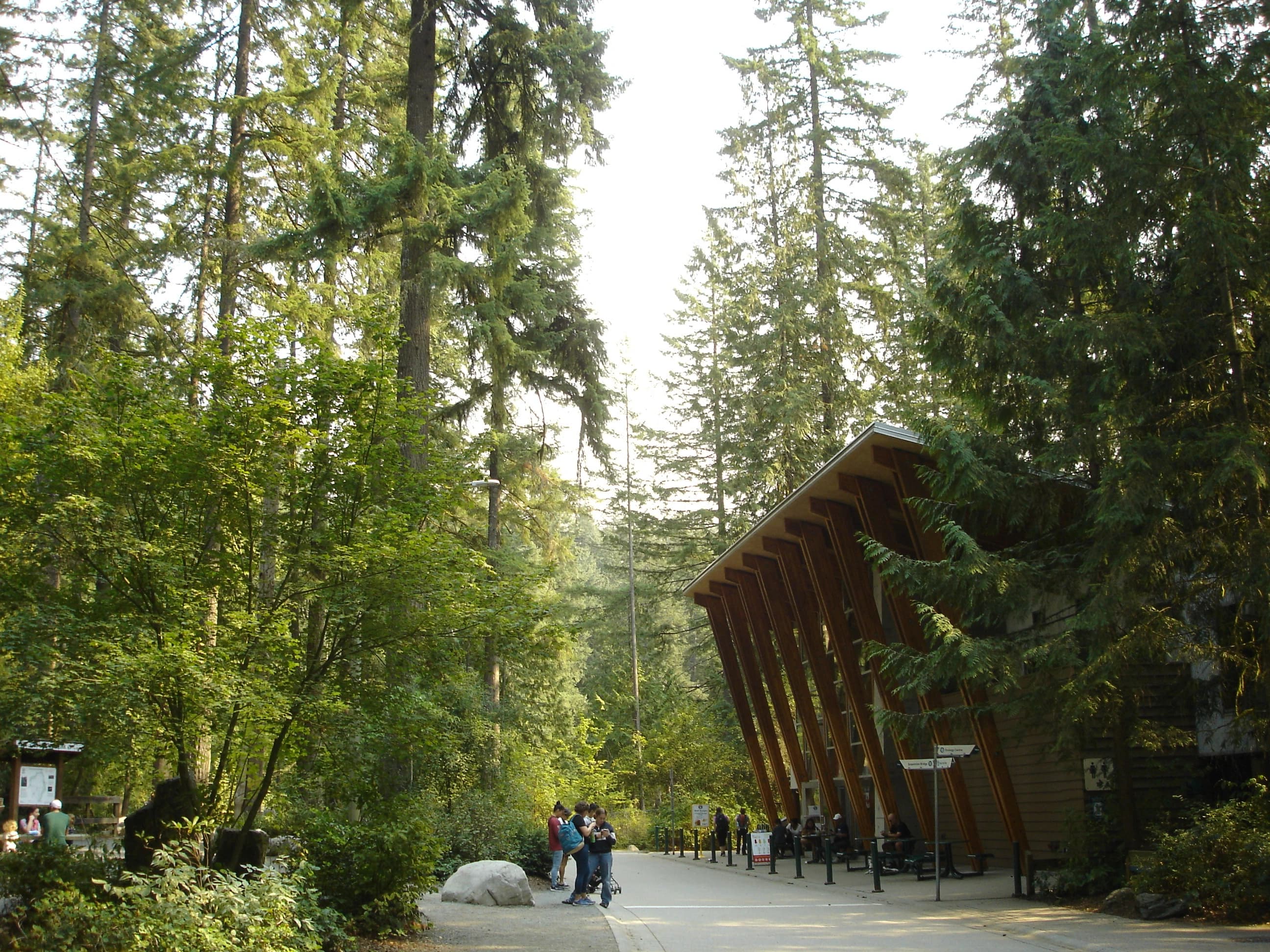 Building in the forest during a hike